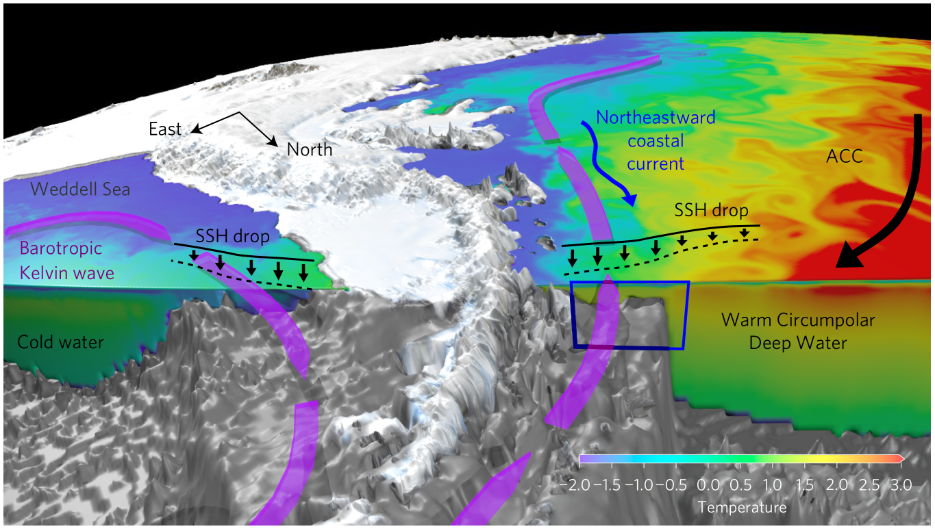 Antarctic Kelvin Wave